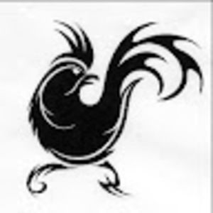 Meet your Posher, Gustavo